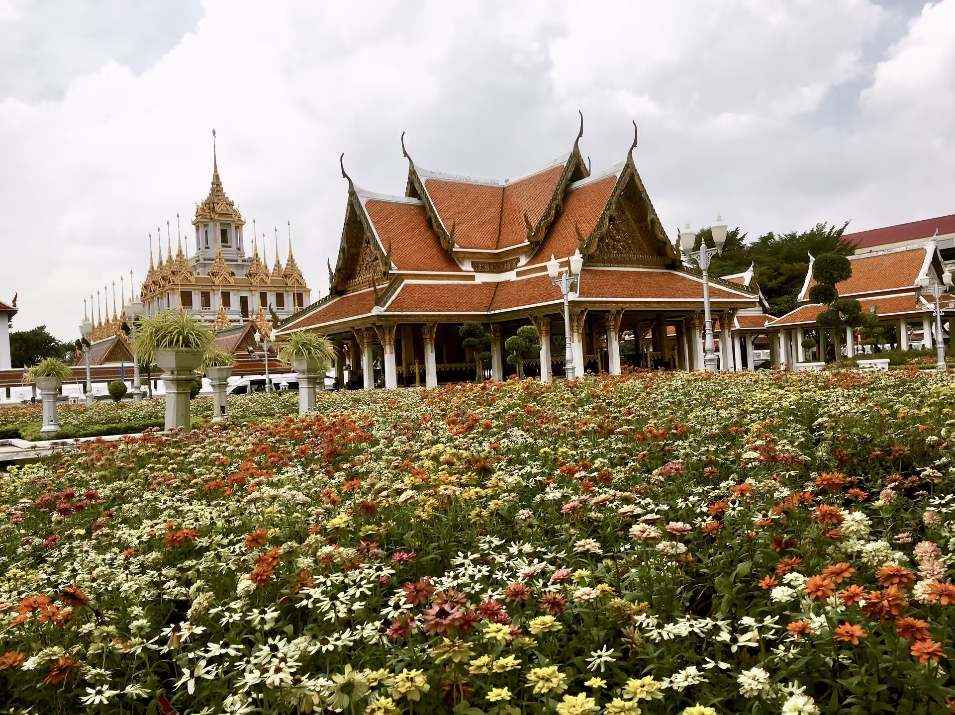 6C7B86F2 B54B 4FD4 94D9 11199F057435 1 201 a.jpeg