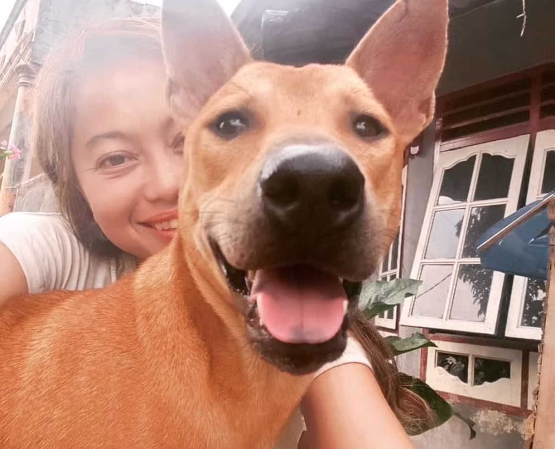 CQP19PznRPL 845x684 2.jpg