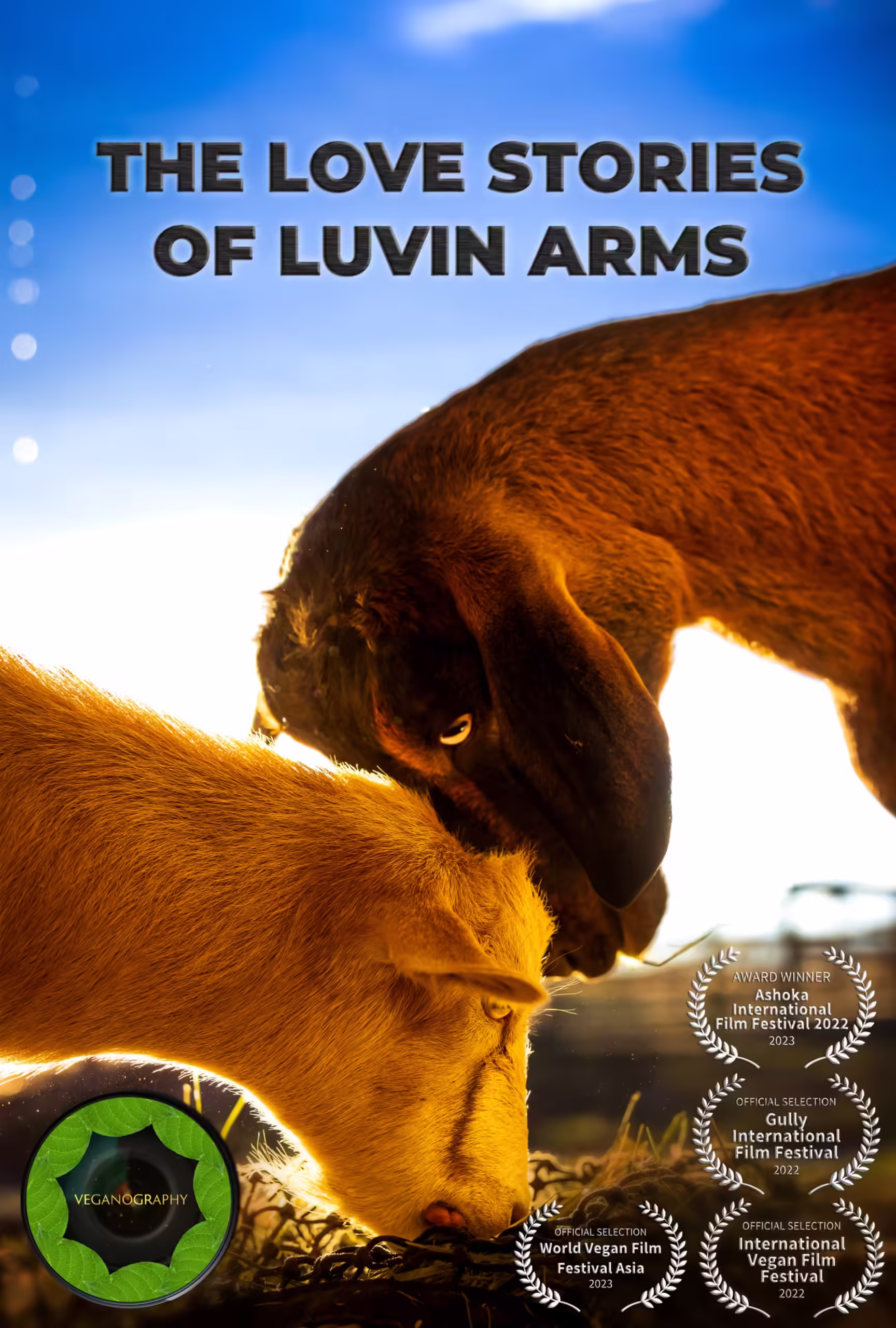 VEGANO 1 scaled 1.jpg scaled